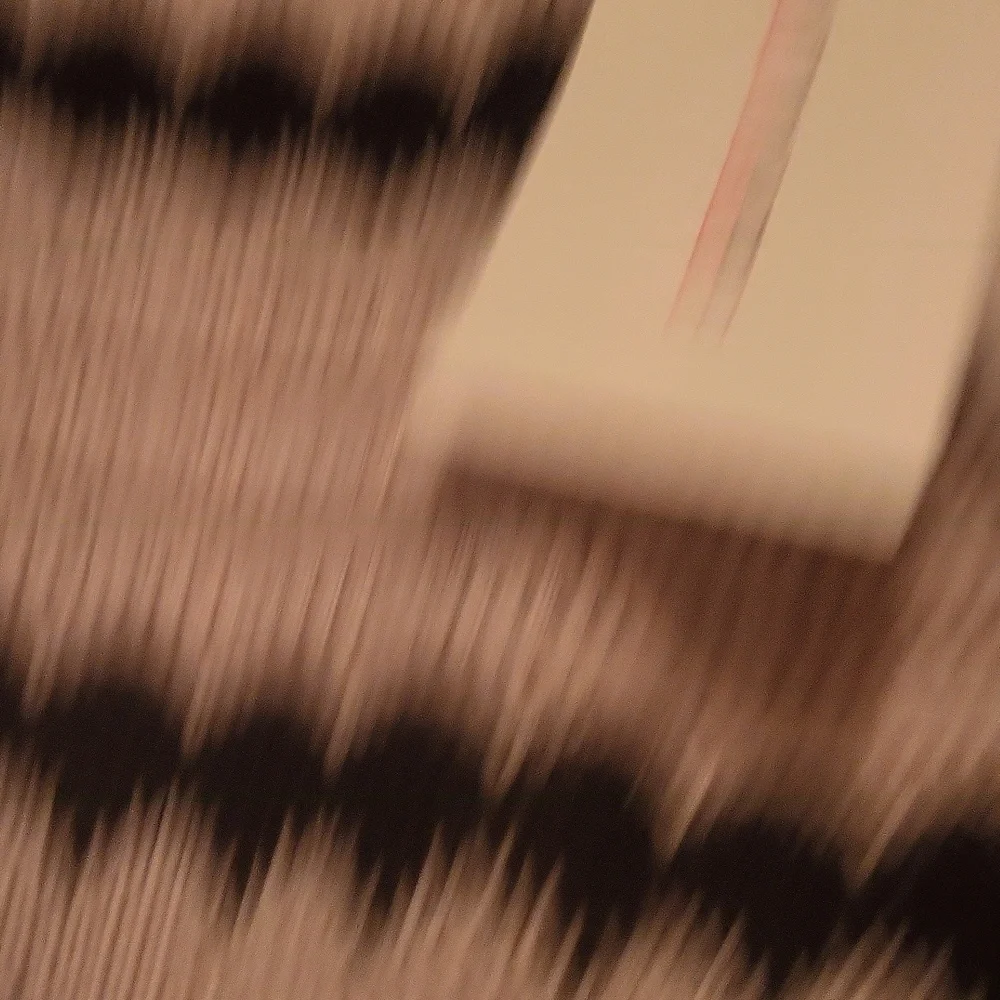 Solitaire Black and Tan Maxi Skirt - Picture 5 of 6